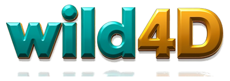wild4d